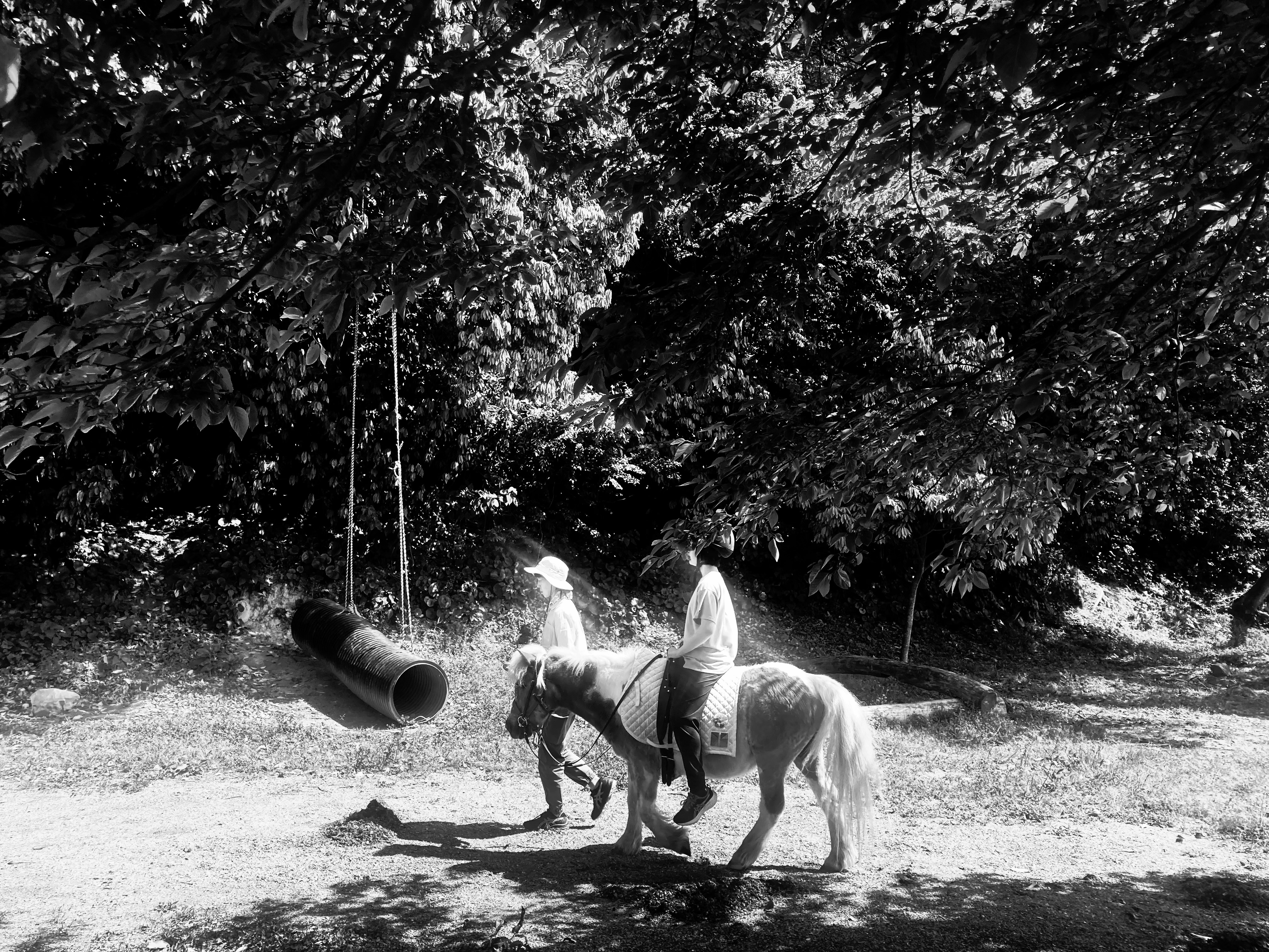 Failed to load an image