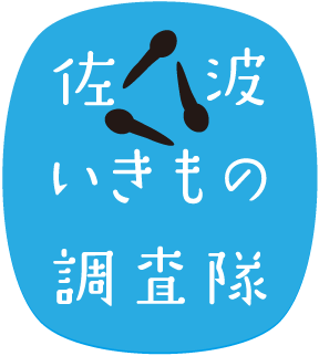 Failed to load an image